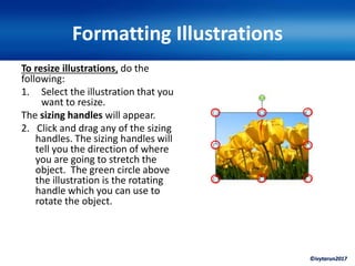 ©ivytarun2017
Formatting Illustrations
To resize illustrations, do the
following:
1. Select the illustration that you
want to resize.
The sizing handles will appear.
2. Click and drag any of the sizing
handles. The sizing handles will
tell you the direction of where
you are going to stretch the
object. The green circle above
the illustration is the rotating
handle which you can use to
rotate the object.
 