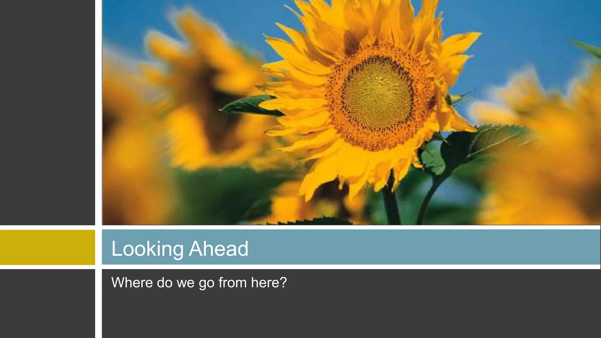 Looking Ahead
Where do we go from here?
 