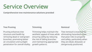 Advanced Tree Maintenance Solutions for Better Property Safety | PPTX