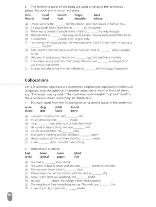 Advanced Vocabulary & Idiom.