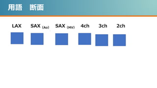 用語 断面
LAX SAX（Ao） SAX（MV） 4ch 3ch 2ch
 
