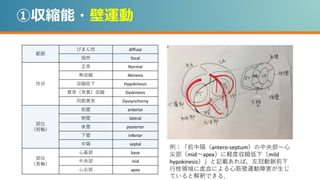①収縮能・壁運動
範囲
びまん性 diffuse
局所 focal
性状
正常 Normal
無収縮 Akinesis
収縮低下 Hypokinesis
異常（奇異）収縮 Dyskinesis
同期異常 Dyssynchorny
部位
（短軸）
前壁 anterior
側壁 lateral
後壁 posterior
下壁 inferior
中隔 septal
部位
（長軸）
心基部 base
中央部 mid
心尖部 apex
例：「前中隔（antero-septum）の中央部～心
尖部（mid～apex）に軽度収縮低下（mild
hypokinesis）」と記載あれば，左冠動脈前下
行枝領域に虚血による心筋壁運動障害が生じ
ていると解釈できる．
 