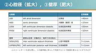 ②心腔径（拡大），③壁厚（肥大）
心腔径 正常範囲
LAD left atrial dimension 左房径 ~40mm
AOD aortic dimension 大動脈（基部）径 ~37mm
LVDd left ventricular dimension diastolic 左室拡張末期径 ~55mm
RVDd right ventricular dimension diastolic 右室拡張末期径 ~32mm
壁厚 肥厚は全周・対象的か．局所で非対称か．
IVSth(IVS) inter ventricular septum thickness 心室中隔壁厚 7~11mm
LVPWth(PW) left ventricular posterior wall thickness 左室後壁厚 7~11mm
心エコーレポートを読む際に，この基準値に照らして判読することで数値を覚えることができます
 