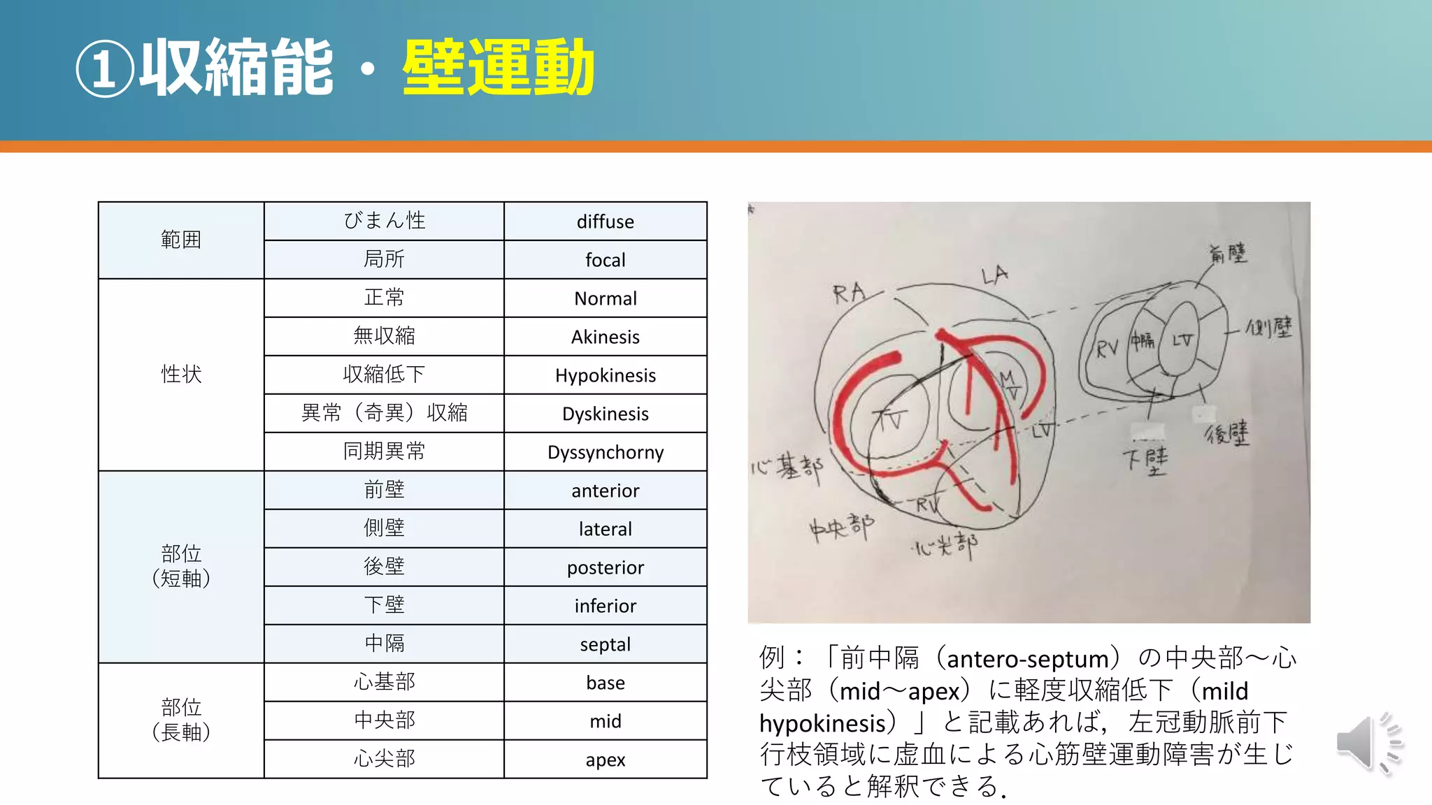 新・心エコーの読み方,考え方 4 M109979097オンライン ストア