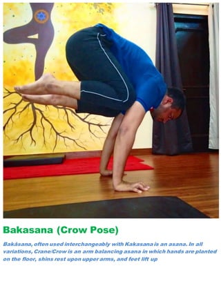 Five Arm Balances to Help You Raise Your Own Yoga Bar by Jessi Moore