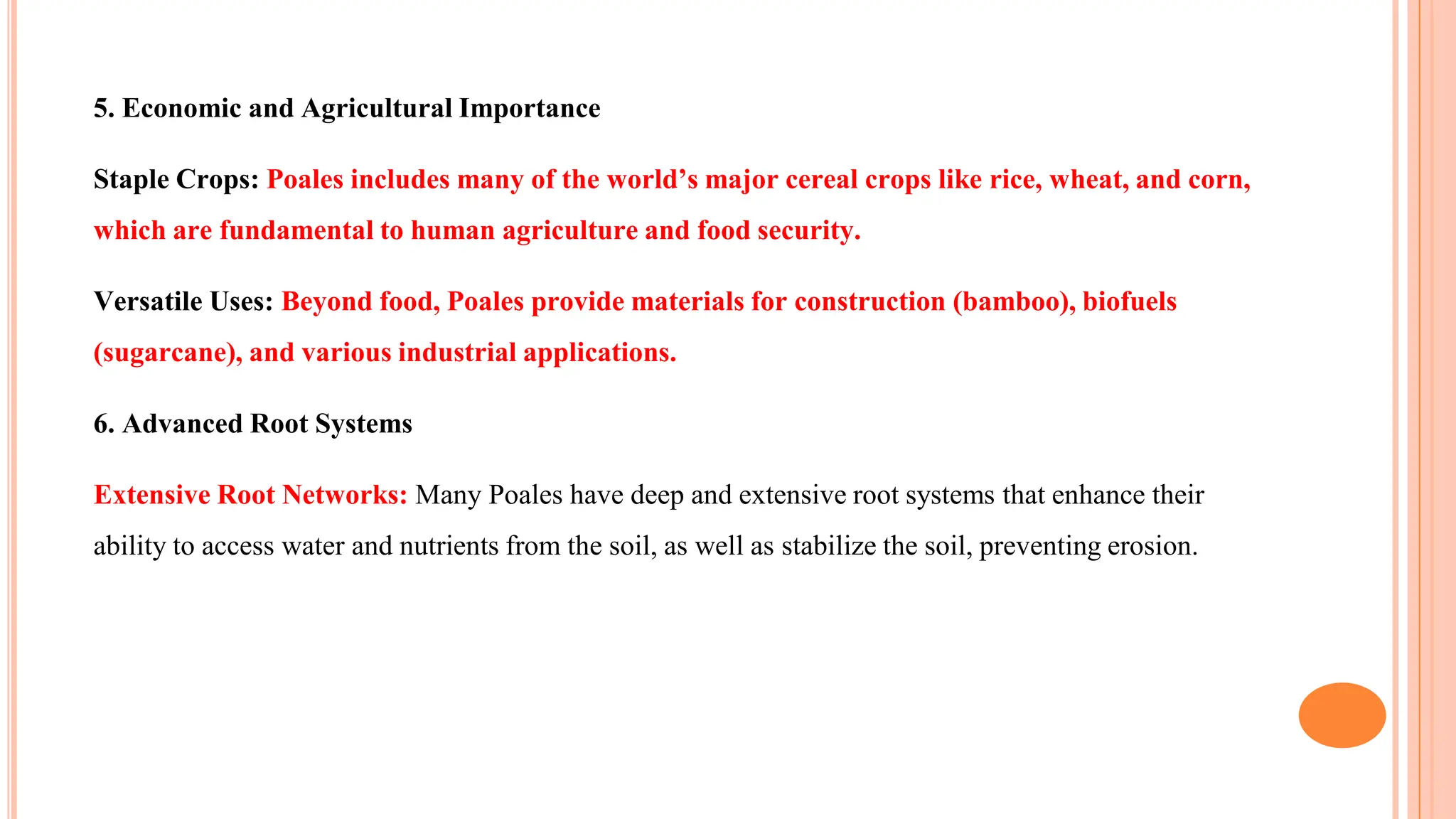 5. Economic and Agricultural Importance
Staple Crops: Poales includes many of the world’s major cereal crops like rice, wheat, and corn,
which are fundamental to human agriculture and food security.
Versatile Uses: Beyond food, Poales provide materials for construction (bamboo), biofuels
(sugarcane), and various industrial applications.
6. Advanced Root Systems
Extensive Root Networks: Many Poales have deep and extensive root systems that enhance their
ability to access water and nutrients from the soil, as well as stabilize the soil, preventing erosion.
 