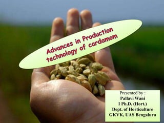 Presented by :
Pallavi Wani
I Ph.D. (Hort.)
Dept. of Horticulture
GKVK, UAS Bengaluru
 