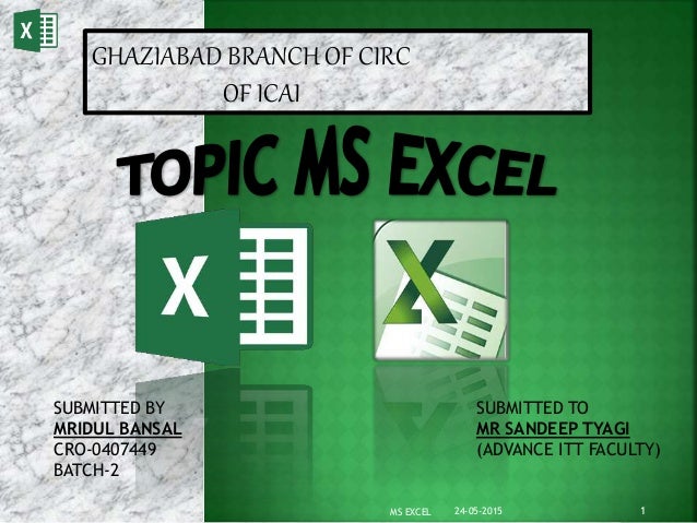 MS EXCEL PPT PRESENTATION