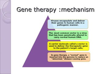 Advancements of medical biotechnology in gene therapy | PPT