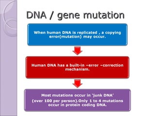 Advancements of medical biotechnology in gene therapy | PPT
