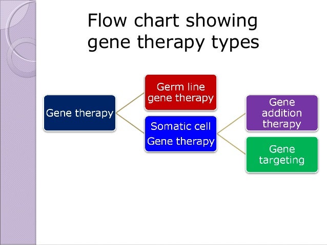 Gene Therapy Process Flow Chart