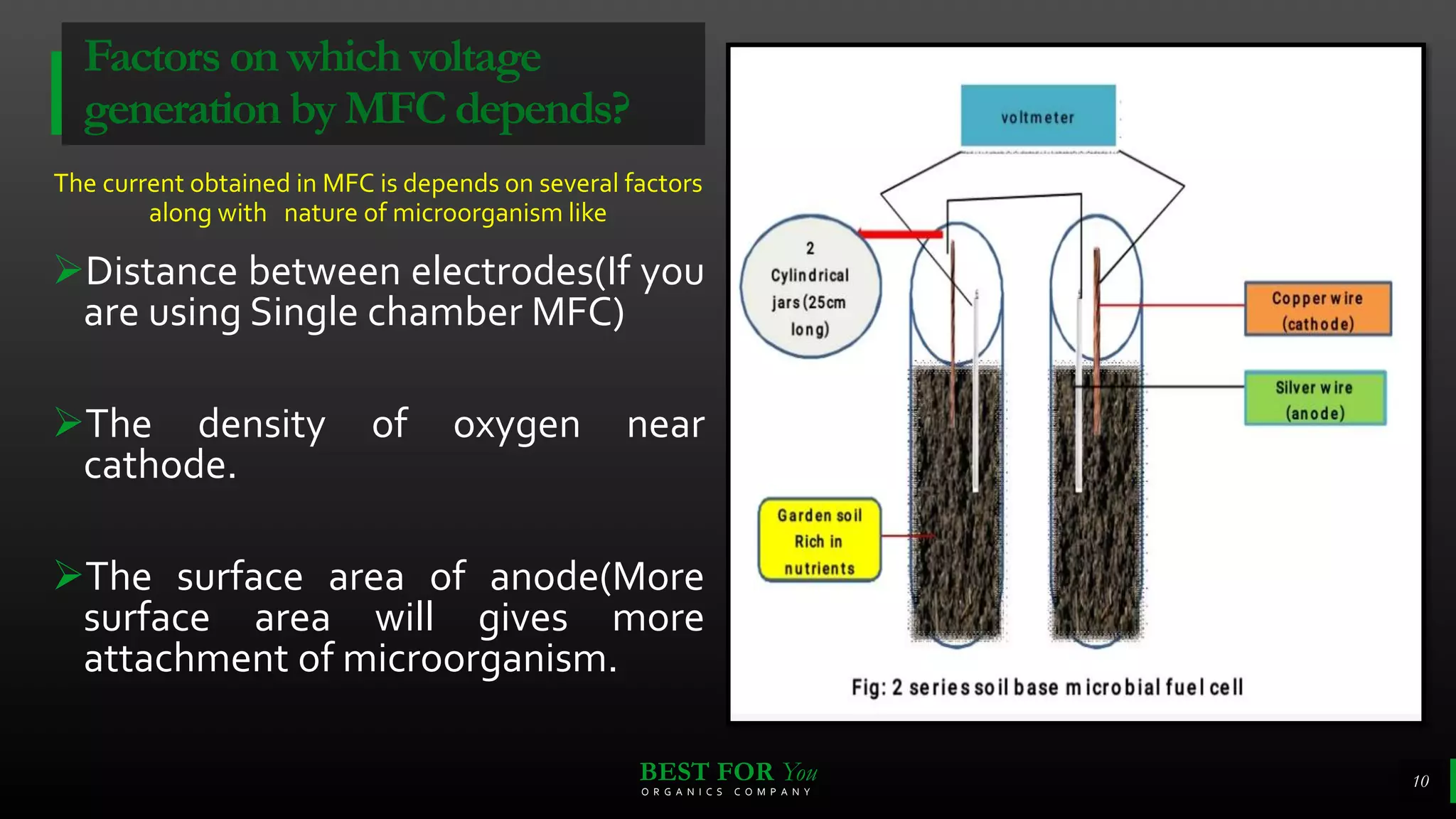 Microbial fuel cell (Advance mini project) | PPTX