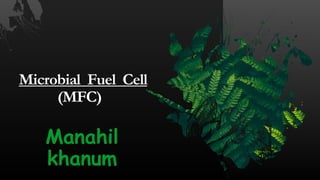 Microbial Fuel Cell
(MFC)
Manahil
khanum
 