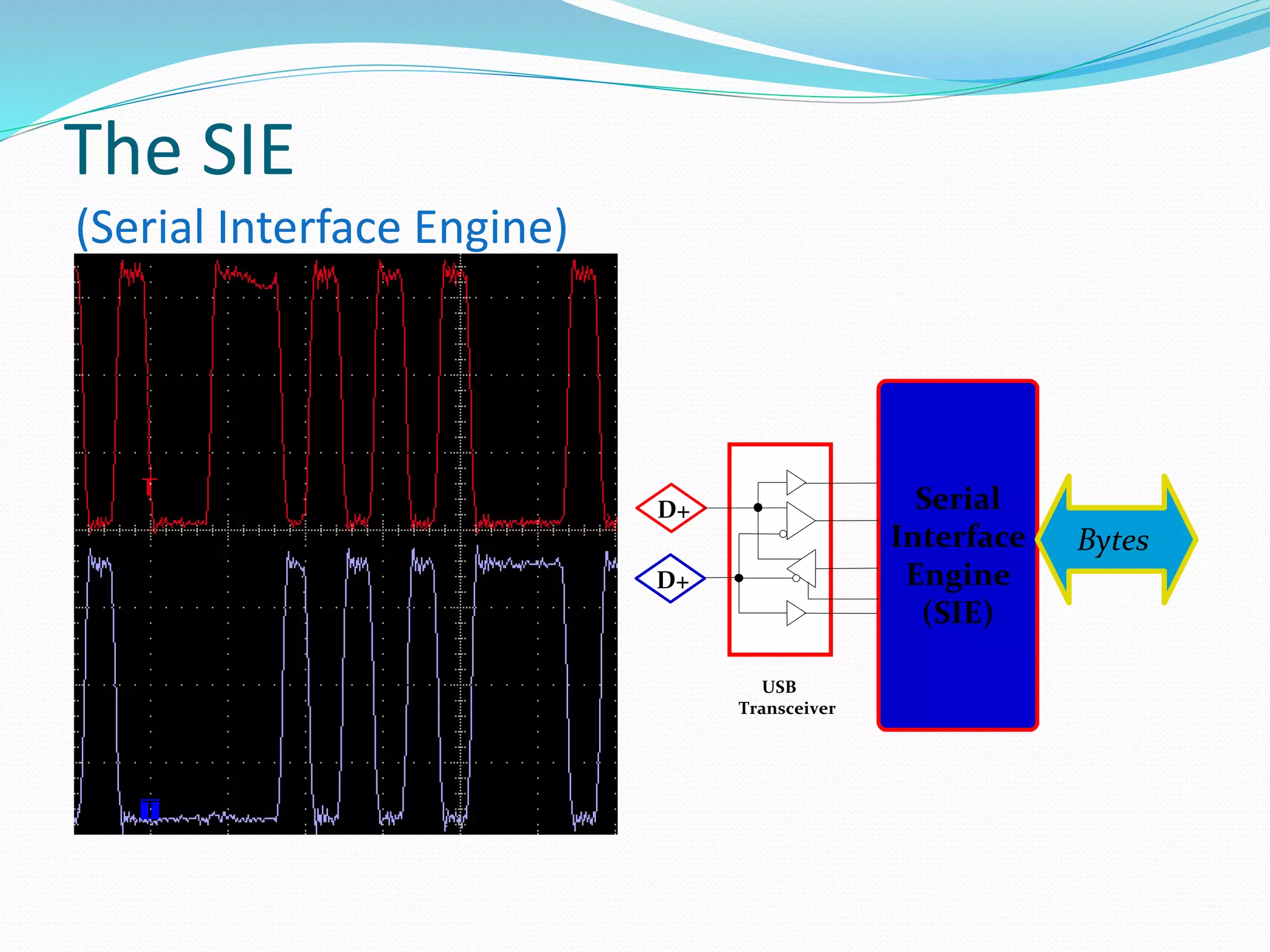 The SIE
(Serial Interface Engine)
Serial
Interface
Engine
(SIE)
D+
Bytes
USB
Transceiver
D+
 