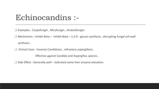 Echinocandins :-
 Examples : Caspofungin , Micafungin , Anidulafungin .
 Mechanism : Inhibit Beta – Inhibit Beta – 1,3 D - glucan synthesis , disrupting fungal cell wall
synthesis .
 Clinical Uses : Invasive Candidiasis , refractory aspergillosis .
Effective against Candida and Aspergillus species .
 Side Effect : Generally well – tolerated some liver enzyme elevation.
 
