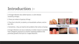 Introduction :-
 A fungal infection also called mycosis, is a skin disease
caused by a fungus.
 There are million of species of fungi .
 They live in the dirt, on plants, on households surfaces, and on
your skin .
 Sometimes , they can lead to skin problems like rashes or bumps.
 Fungal infections can occur easily by a number reason it could be
from unhygienic practices to common sweeting problems that
promotes growth of all sorts on fungal infections.
 