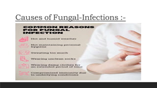 ANTI FUNGAL AGENTS AND THEIR MECHANISM OF ACTION. | DOCX