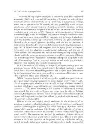 Advances and technical standards in neurosurgery | PDF