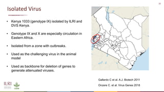 New developments in vaccines against African swine fever