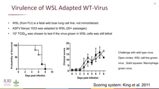 New developments in vaccines against African swine fever