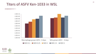 New developments in vaccines against African swine fever