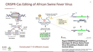 New developments in vaccines against African swine fever