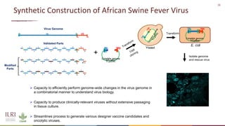 New developments in vaccines against African swine fever