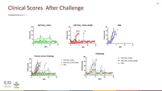 New developments in vaccines against African swine fever