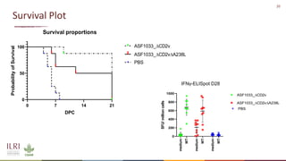 New developments in vaccines against African swine fever
