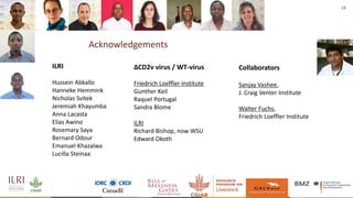 New developments in vaccines against African swine fever