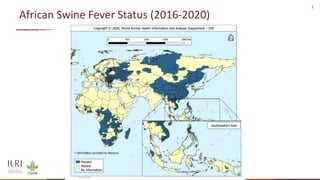 New developments in vaccines against African swine fever