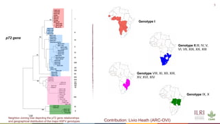 New developments in vaccines against African swine fever