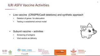 New developments in vaccines against African swine fever