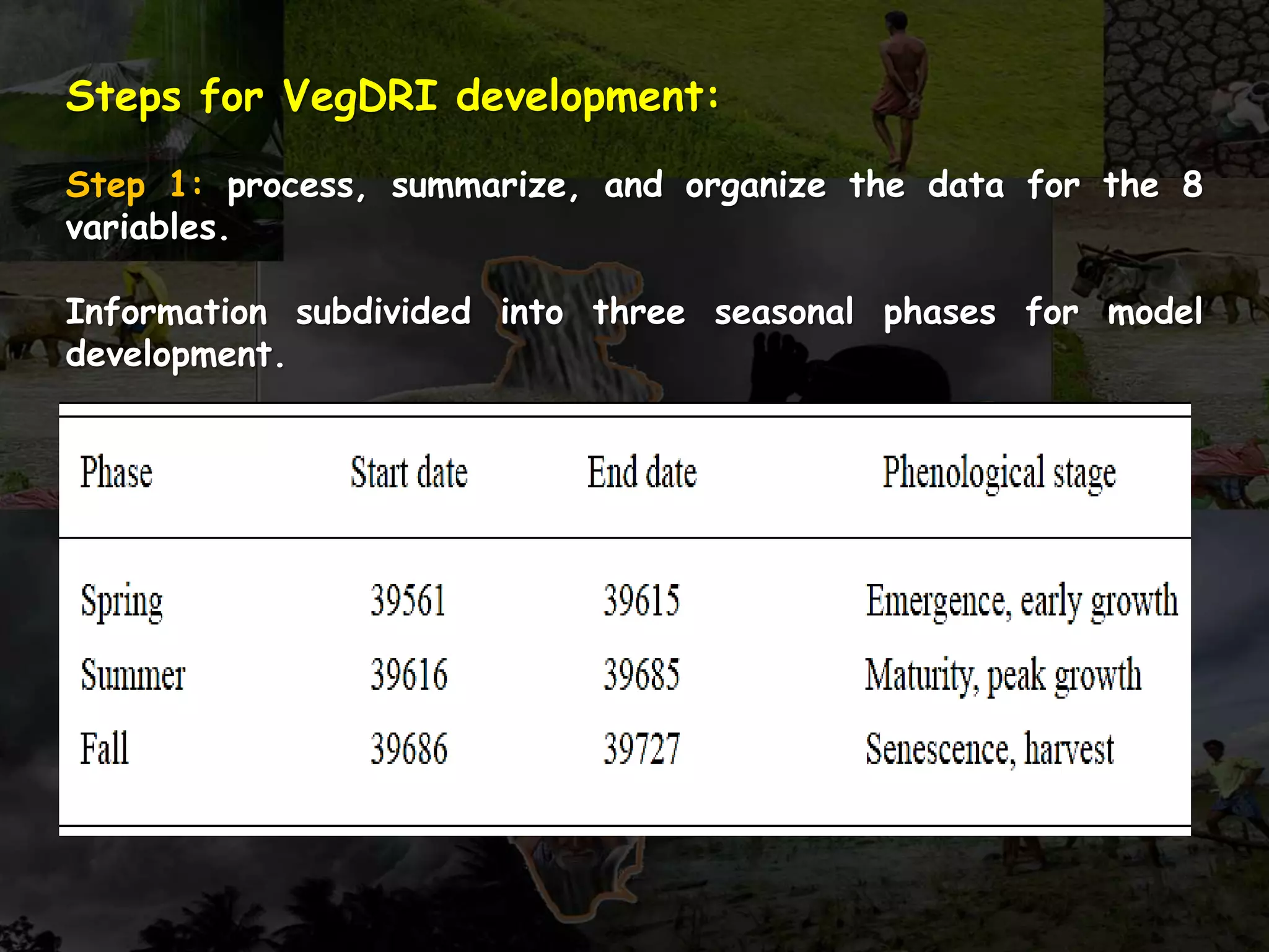 Steps for VegDRI development:
Step 1: process, summarize, and organize the data for the 8
variables.
Information subdivided into three seasonal phases for model
development.
 