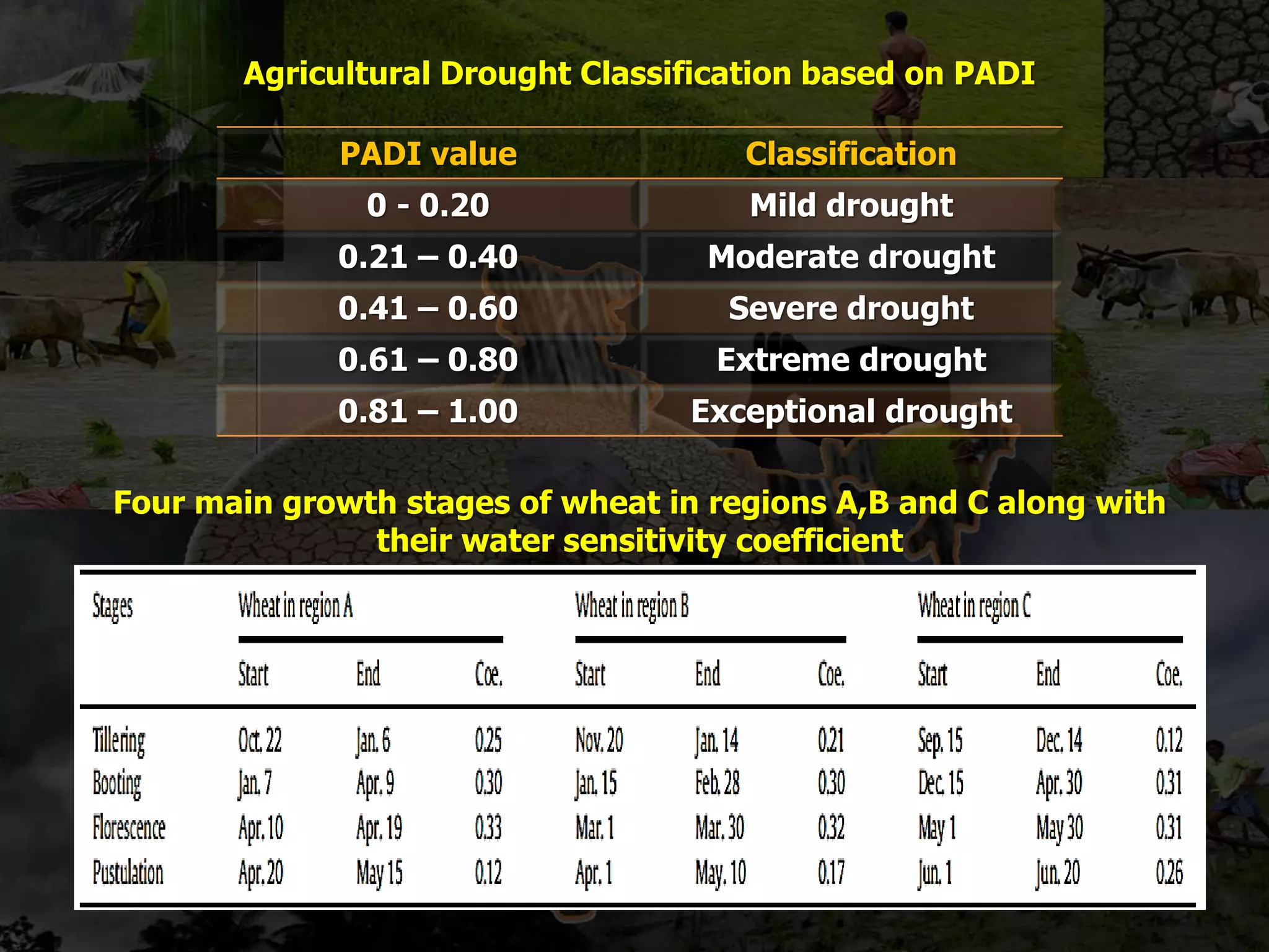 Agricultural Drought Classification based on PADI
PADI value Classification
0 - 0.20 Mild drought
0.21 – 0.40 Moderate drought
0.41 – 0.60 Severe drought
0.61 – 0.80 Extreme drought
0.81 – 1.00 Exceptional drought
Four main growth stages of wheat in regions A,B and C along with
their water sensitivity coefficient
 