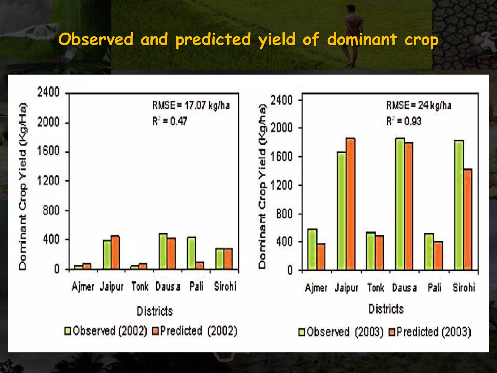 Observed and predicted yield of dominant crop
 