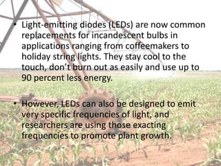 • Light-emitting diodes (LEDs) are now common
  replacements for incandescent bulbs in
  applications ranging from coffeemakers to
  holiday string lights. They stay cool to the
  touch, don’t burn out as easily and use up to
  90 percent less energy.

• However, LEDs can also be designed to emit
  very specific frequencies of light, and
  researchers are using those exacting
  frequencies to promote plant growth.
 