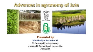 Presented by
Muchhadiya Ravindra M.
M.Sc. (Agri.) in Agronomy
Junagadh Agricultural University,
Junagadh
 