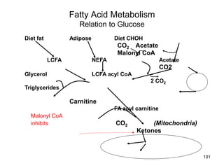 Fatty Acid Metabolism
Relation to Glucose
Diet fat Adipose Diet CHOH
CO2 Acetate
Malonyl CoA
LCFA NEFA Acetate
CO2
Glycerol LCFA acyl CoA
2 CO2
Triglycerides
Carnitine
FA acyl carnitine
Malonyl CoA
inhibits CO2 (Mitochondria)
Ketones
101
 