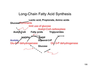 Long-Chain Fatty Acid Synthesis
Lactic acid, Propionate, Amino acids
GlucoseRuminants
limit use of glucose
Acetyl-CoA carboxylase
Acetyl CoA Fatty acids Triglycerides
NADPH NADP
Acetate Glycerol-3-P
Glu-6-P dehydrogenase Gly-3-P dehydrogenase
Glucose
106
 