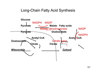 Long-Chain Fatty Acid Synthesis
Glucose
NADPH NADP
Pyruvate Malate Fatty acids
Malate dehydrogenase NADP
Pyruvate Oxaloacetate
NADPH
Acetyl CoA Acetyl CoA
Oxaloacetate Citrate lyase
Citrate Citrate Acetate
Mitocondria Cytosol
107
 