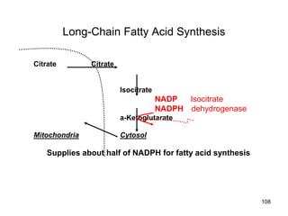 Long-Chain Fatty Acid Synthesis
Citrate Citrate
Isocitrate
NADP Isocitrate
NADPH dehydrogenase
a-Ketoglutarate
Mitochondria Cytosol
Supplies about half of NADPH for fatty acid synthesis
108
 