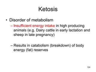 Ketosis
• Disorder of metabolism
– Insufficient energy intake in high producing
animals (e.g. Dairy cattle in early lactation and
sheep in late pregnancy)
– Results in catabolism (breakdown) of body
energy (fat) reserves
124
 