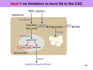 Ideal = no limitation to burn fat in the CAC
126
 