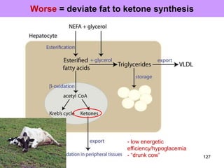 Worse = deviate fat to ketone synthesis
- low energetic
efficiency/hypoglacemia
- “drunk cow” 127
 