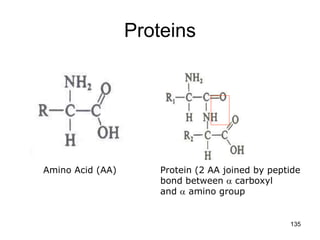Proteins
Amino Acid (AA) Protein (2 AA joined by peptide
bond between  carboxyl
and  amino group
135
 