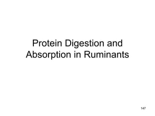 Protein Digestion and
Absorption in Ruminants
147
 