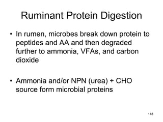 Ruminant Protein Digestion
• In rumen, microbes break down protein to
peptides and AA and then degraded
further to ammonia, VFAs, and carbon
dioxide
• Ammonia and/or NPN (urea) + CHO
source form microbial proteins
148
 