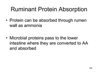 Ruminant Protein Absorption
• Protein can be absorbed through rumen
wall as ammonia
• Microbial proteins pass to the lower
intestine where they are converted to AA
and absorbed
149
 