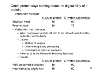 – Crude protein says nothing about the digestibility of a
protein
• Varies with feedstuff
% Crude protein % Protein Digestibility
Soybean meal 45 90
Feather meal 80 75
• Varies with heat damage
– When overheated, protein will bind to the cell wall carbohydrates
particularly across lysine
– Causes
» Molding of forages
» Over-heating during processing
» Over-drying of grains or soybeans
– Referred to as the Maillard or Browning Reaction
– Results
% Crude protein % Protein Digestibility
Well-preserved alfalfa hay 18 90
Heat-damaged alfalfa hay 18 60 15
 